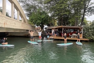 オアフ島：ノースショア ハレイワ パドルボード リバー アドベンチャー