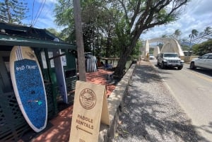 オアフ島：ノースショア ハレイワ パドルボード リバー アドベンチャー