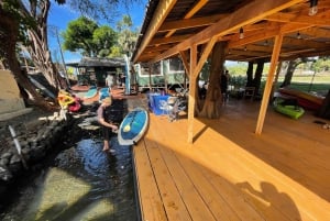 オアフ島：ノースショア ハレイワ パドルボード リバー アドベンチャー