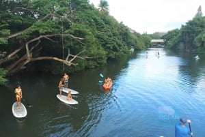 オアフ島：ノースショア ハレイワ パドルボード リバー アドベンチャー