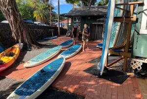 オアフ島：ノースショア ハレイワ パドルボード リバー アドベンチャー