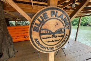 オアフ島：ノースショア ハレイワ パドルボード リバー アドベンチャー