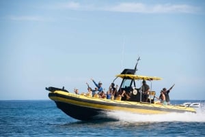 Оаху: северный берег Халейва: чартер частных лодок