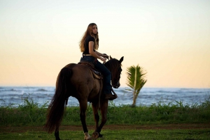 Oahu: North Shore Oceanfront Horseback Riding Tour
