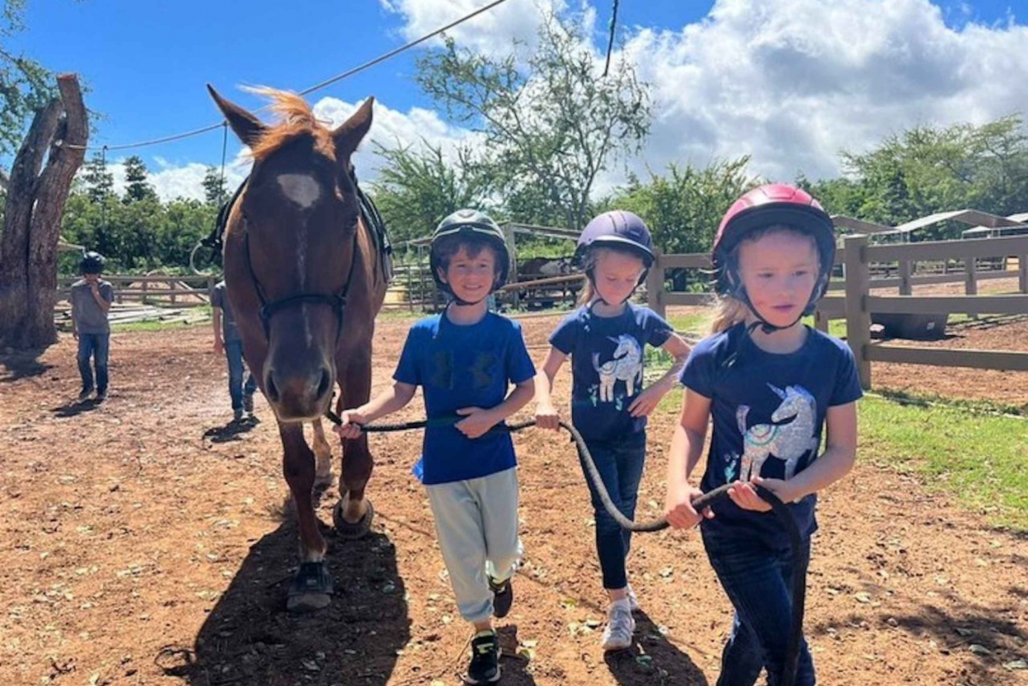 Oahu: North Shore Children's Pony Ride on Shoreline