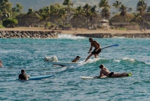 Oahu, Côte Nord : Leçon de surf privée