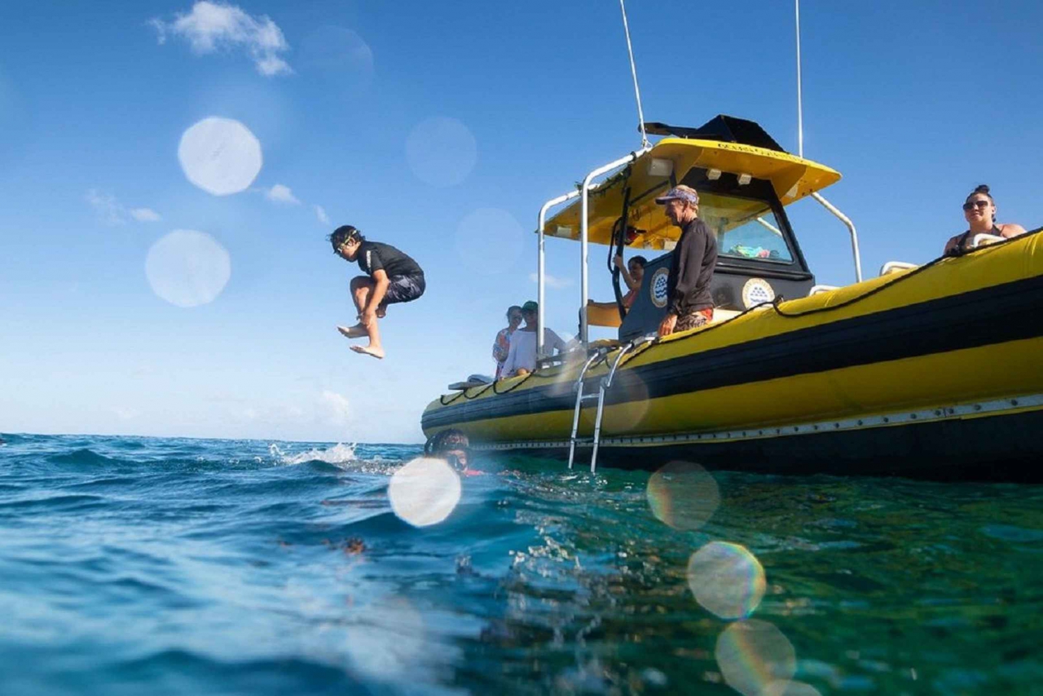 Oahu: Excursão de mergulho com snorkel em North Shore saindo de Haleiwa