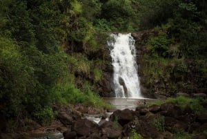 Oahu: Pływanie przy wodospadzie North Shore