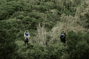 Oahu: Przygoda na linach na północnym wybrzeżu z przejażdżką quadami i wycieczką po farmie