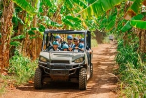 Оаху: приключение на зиплайне на северном берегу с туром по ферме