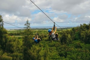 Oahu: Zip Line-äventyr på North Shore med gårdstur