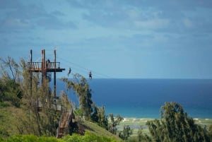 Oahu: Aventura de tirolesa na costa norte com passeio pela fazenda