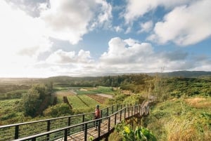 Oahu: Aventura de tirolesa na costa norte com passeio pela fazenda