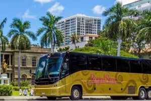Oahu: Tour dell'esperienza di Pearl Harbor