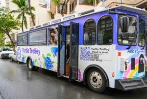 Oahu: Pearl Harbor-shuttle fra Waikiki