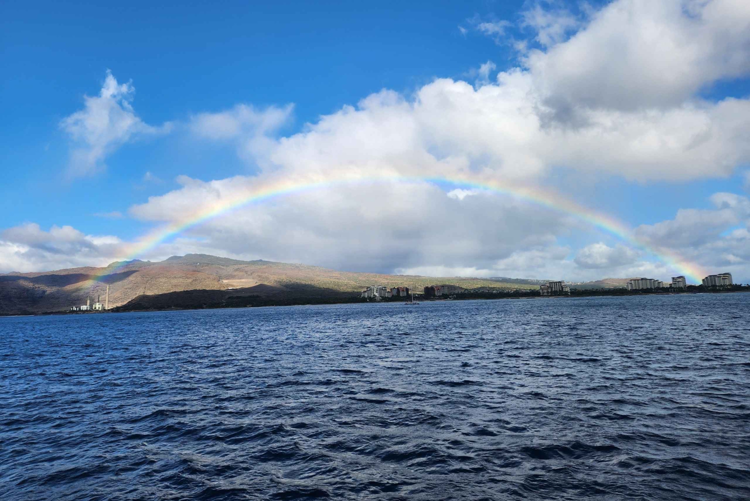 Oahu: rejs premium ze snorkelingiem, obserwacja wielorybów i delfinów