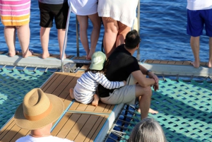 Oahu: rejs premium ze snorkelingiem, obserwacja wielorybów i delfinów