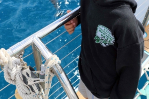 Oahu: rejs premium ze snorkelingiem, obserwacja wielorybów i delfinów