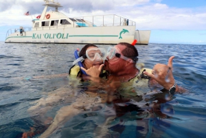 Oahu: rejs premium ze snorkelingiem, obserwacja wielorybów i delfinów