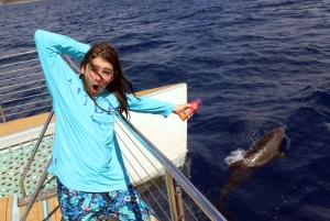 Oahu: rejs premium ze snorkelingiem, obserwacja wielorybów i delfinów