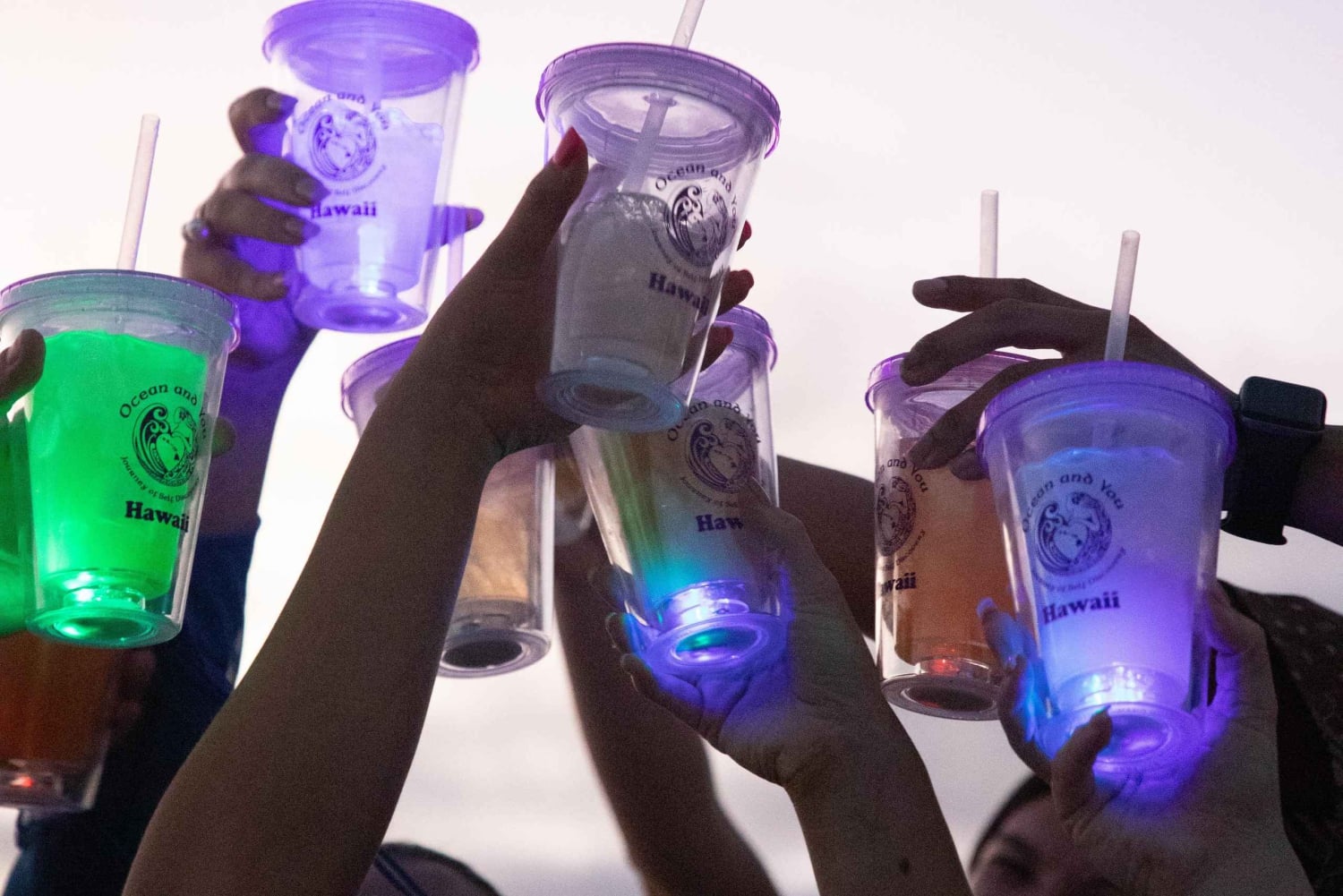 Oahu: Premium Waikiki Sunset Party Cruise med Live DJ