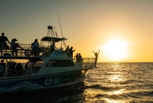 Oahu: Premium Waikiki Sunset Party Cruise med Live DJ