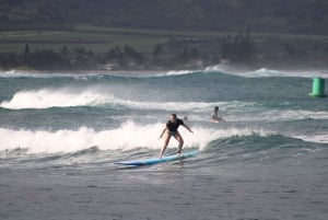 Oahu: Private Beginner Surf Lesson