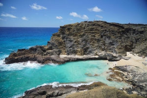 Oahu: Tour panoramico privato del meglio di Oahu