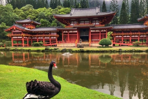 Oahu: Tour privado por lo mejor de Oahu