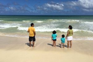 Oahu: Tour privado por lo mejor de Oahu