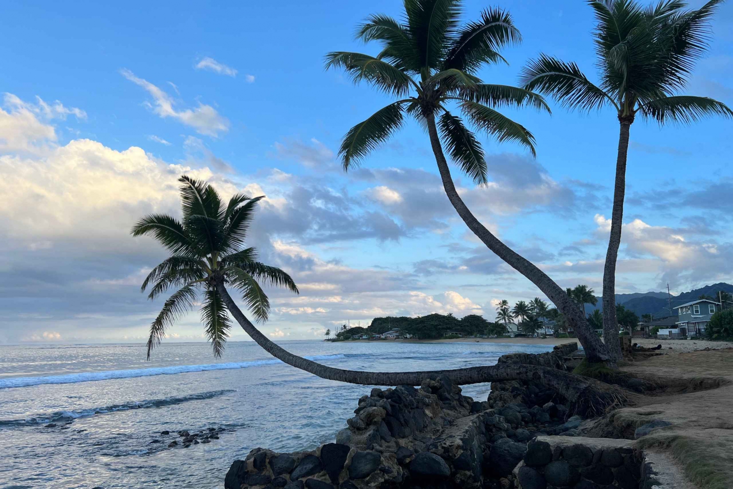Oahu : Tour de l'île en cercle privé personnalisable
