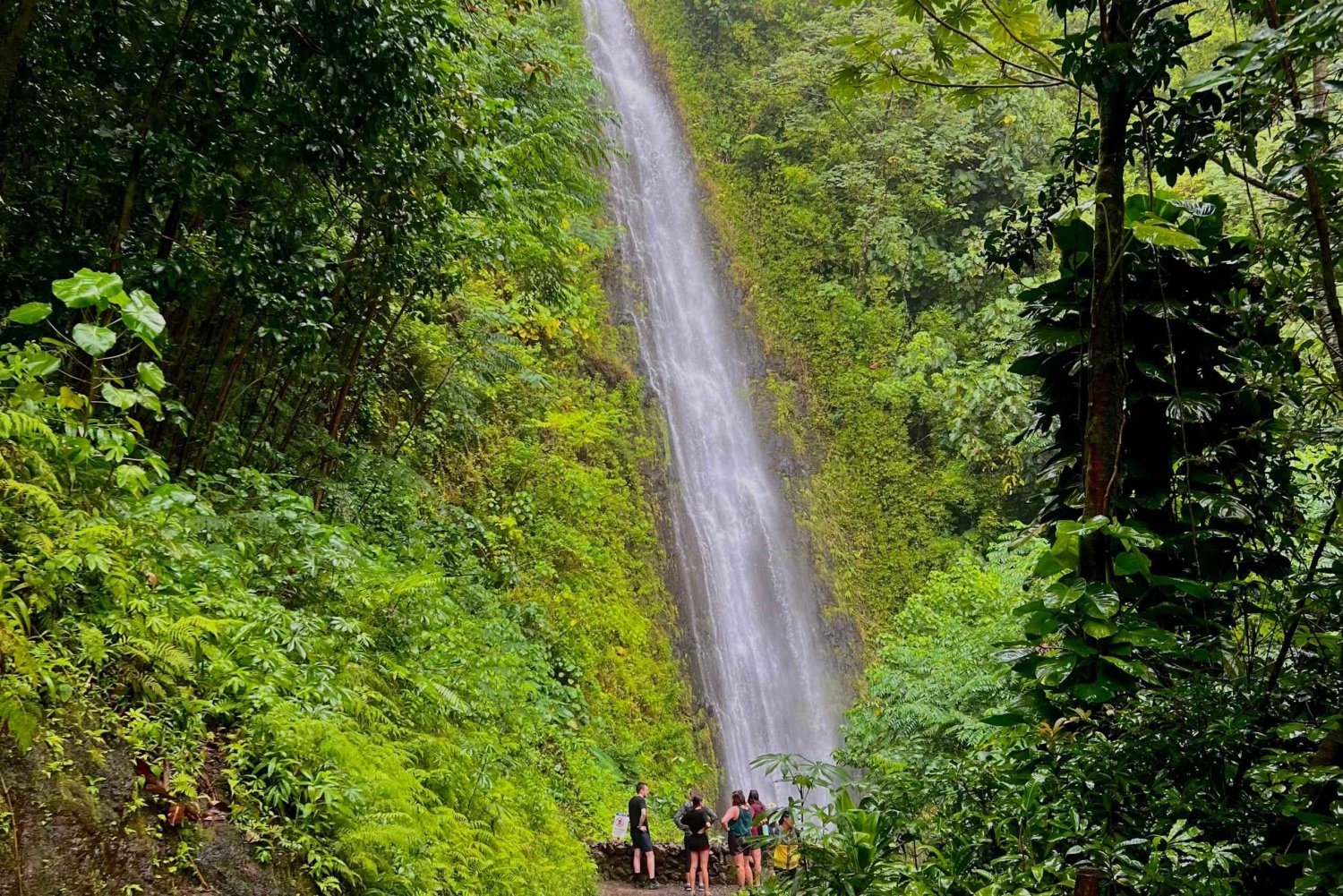 Oahu: Private Circle Island Tour med vandring till Manoa Falls