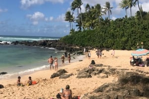 Oahu: Privat skræddersyet ø-tur