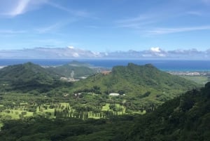 Oahu: Privat anpassad rundtur på ön
