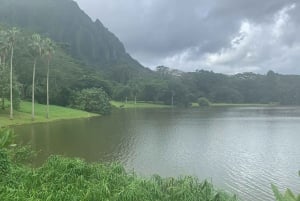 Oahu: Yksityinen Custom Island Tour