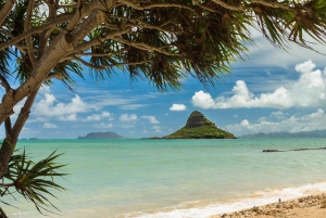 Oahu: Tour privato personalizzato dell'isola