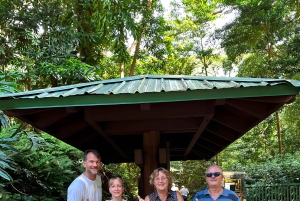 Oahu: Tour privato personalizzato dell'isola