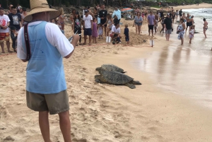 Oahu: Tour privato personalizzato dell'isola