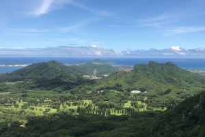 Oahu: Tour privato personalizzato dell'isola