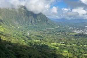 Oahu : Circuit privé d'une journée entière consacré à la gastronomie et aux visites touristiques