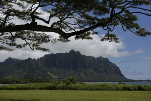 Oahu: Private Full-Day Foodie & Sightseeing Tour