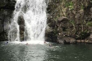 Oahu: Excursión privada a una isla