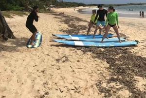 Oahu: Private Surf Lesson