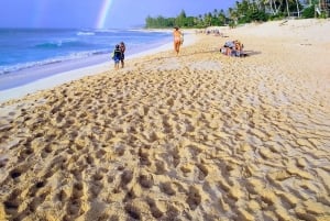 Oahu: Private Surf Lesson