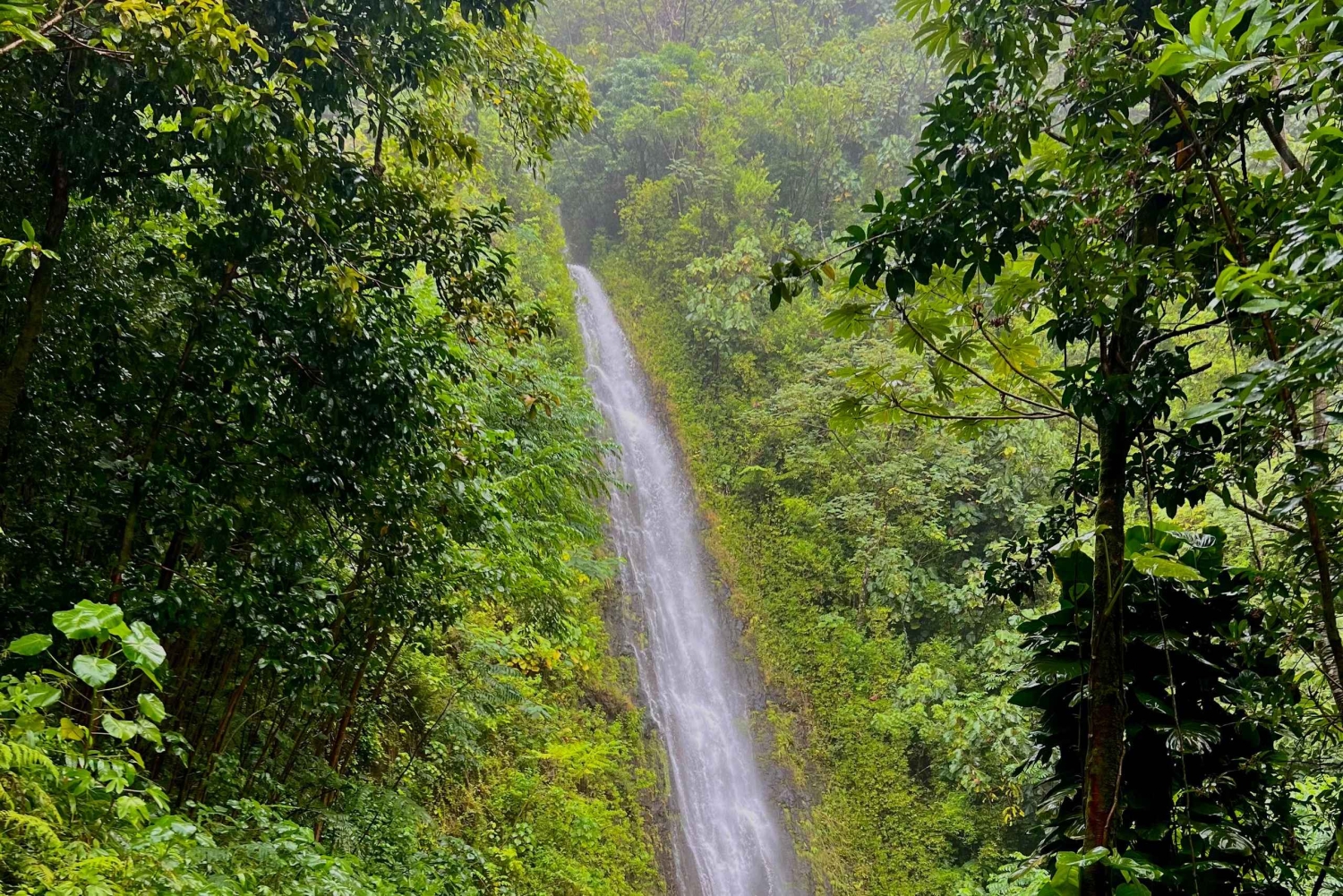 Oahu: Tour privato - Isola del Cerchio - personalizzabile