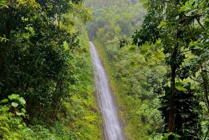 Oahu: Tour privato - Isola del Cerchio - personalizzabile