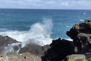 Oahu: Tour privato - Isola del Cerchio - personalizzabile