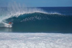 Oahu: Tour privato - Isola del Cerchio - personalizzabile