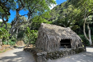 Oahu: Tour privato - Isola del Cerchio - personalizzabile