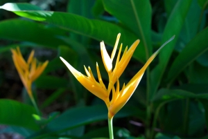 Oahu: Tour privato - Isola del Cerchio - personalizzabile